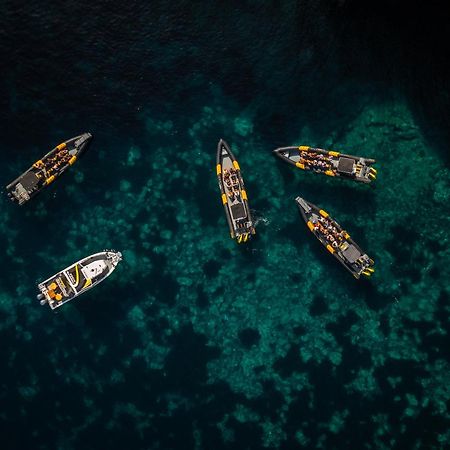 Domaine De L'Oriu Otel Serriera  Dış mekan fotoğraf