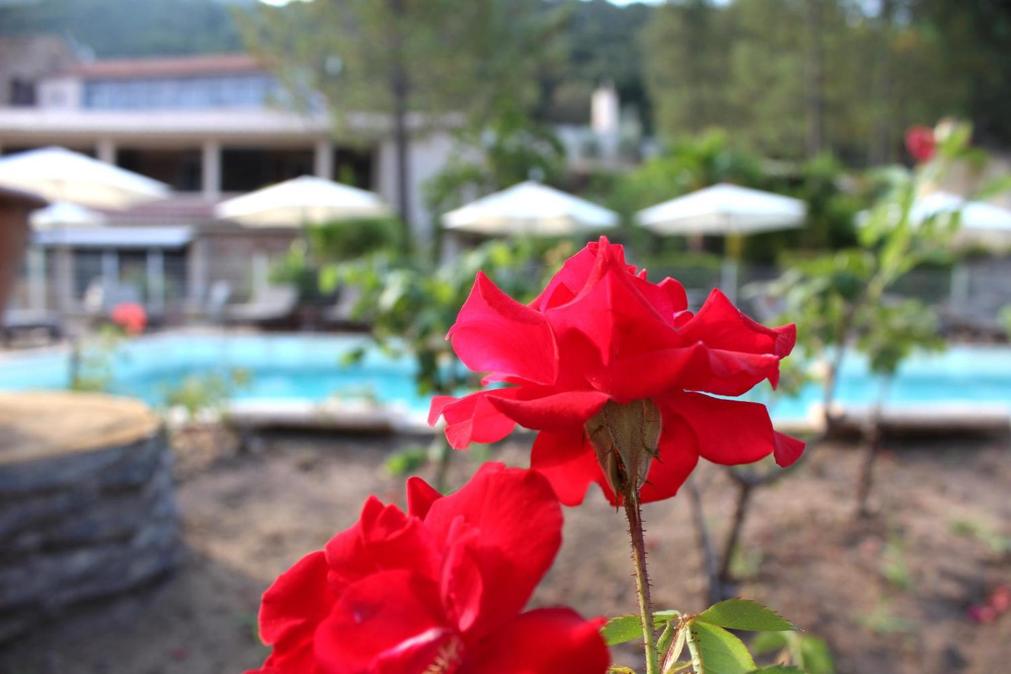 Domaine De L'Oriu Otel Serriera  Dış mekan fotoğraf