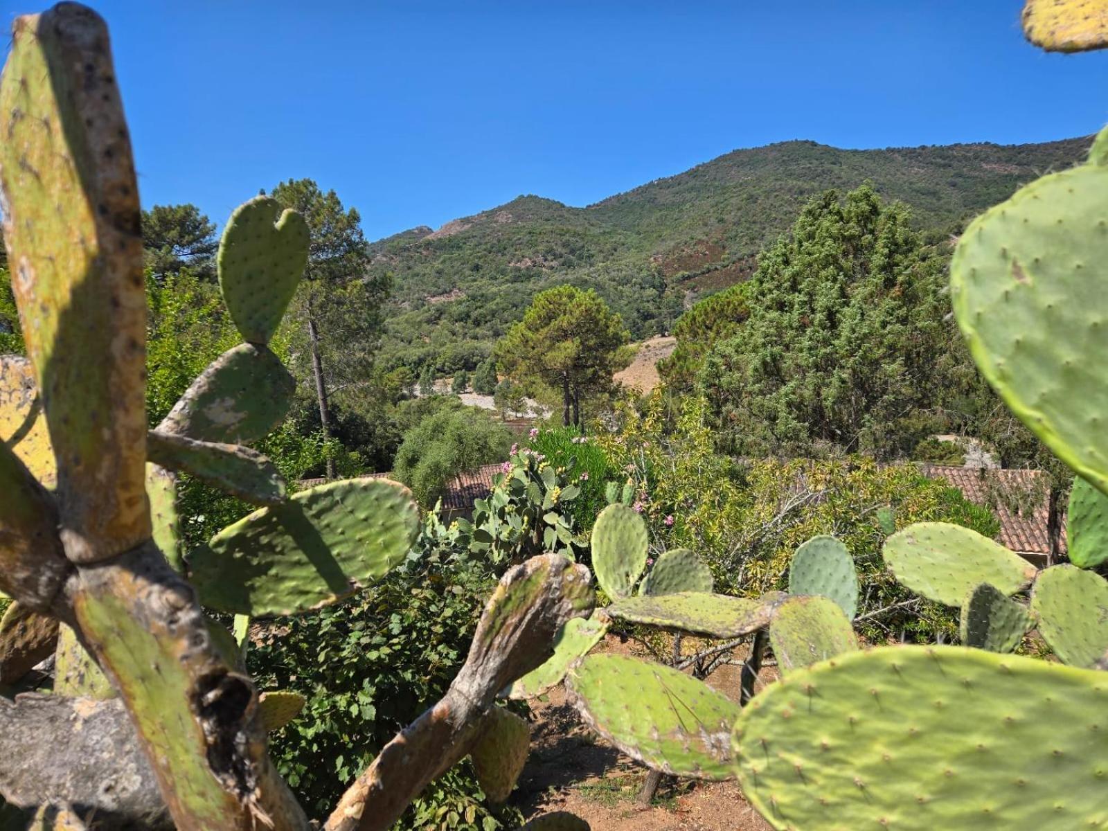 Domaine De L'Oriu Otel Serriera  Dış mekan fotoğraf